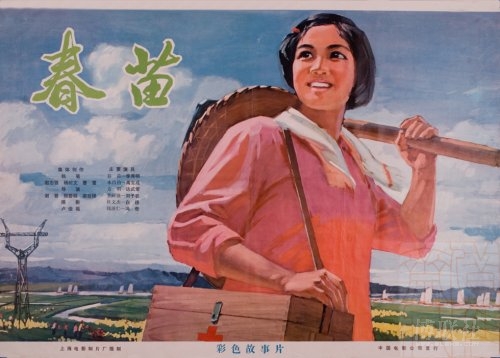 浜松医科大学 Architecture Degree Certificate